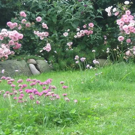 公寓 Hopfengarten, Whg 9 *